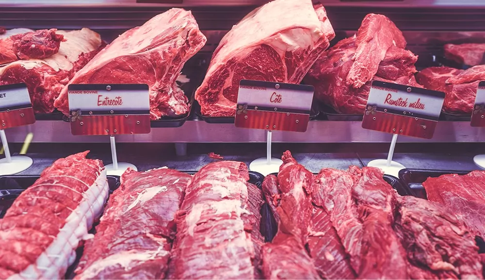 Carne bovina