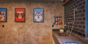 Pet Care